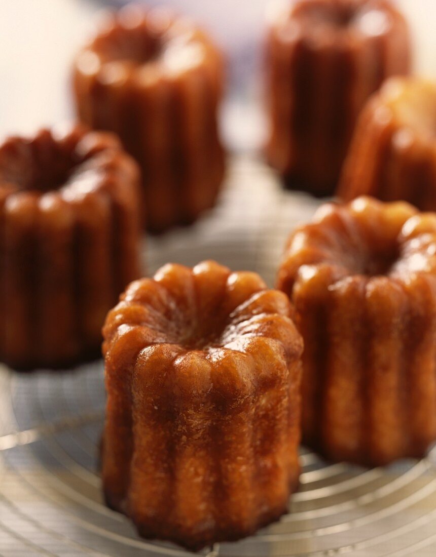 cannelé vanilla and rum caramelized cakes