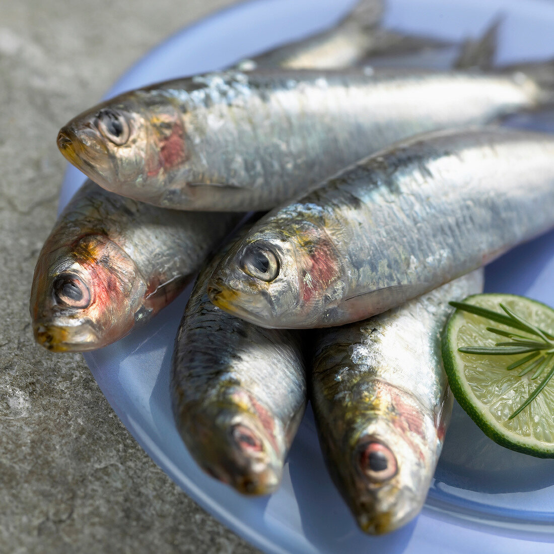 Frische Sardinen auf blauem Teller