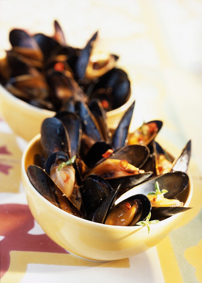 Grilled mussels a la plancha with savory