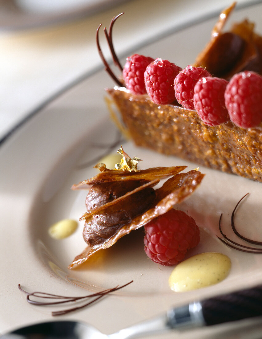 Krokant mit Schokoladen-Mousse und Himbeeren