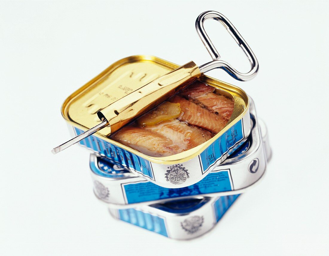 Cans of sardines