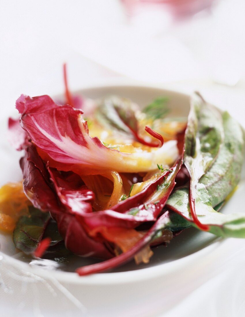Salat mit mariniertem Lachs und Passionsfruchtsauce