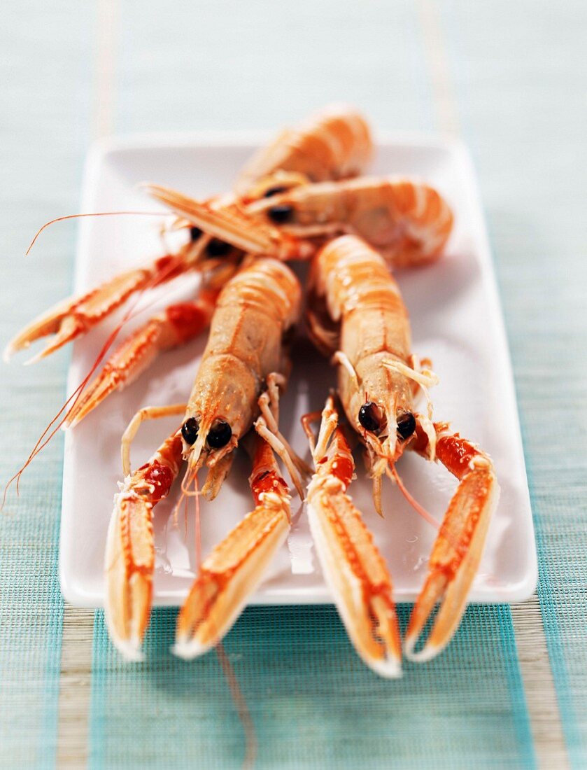 Dublin Bay prawns