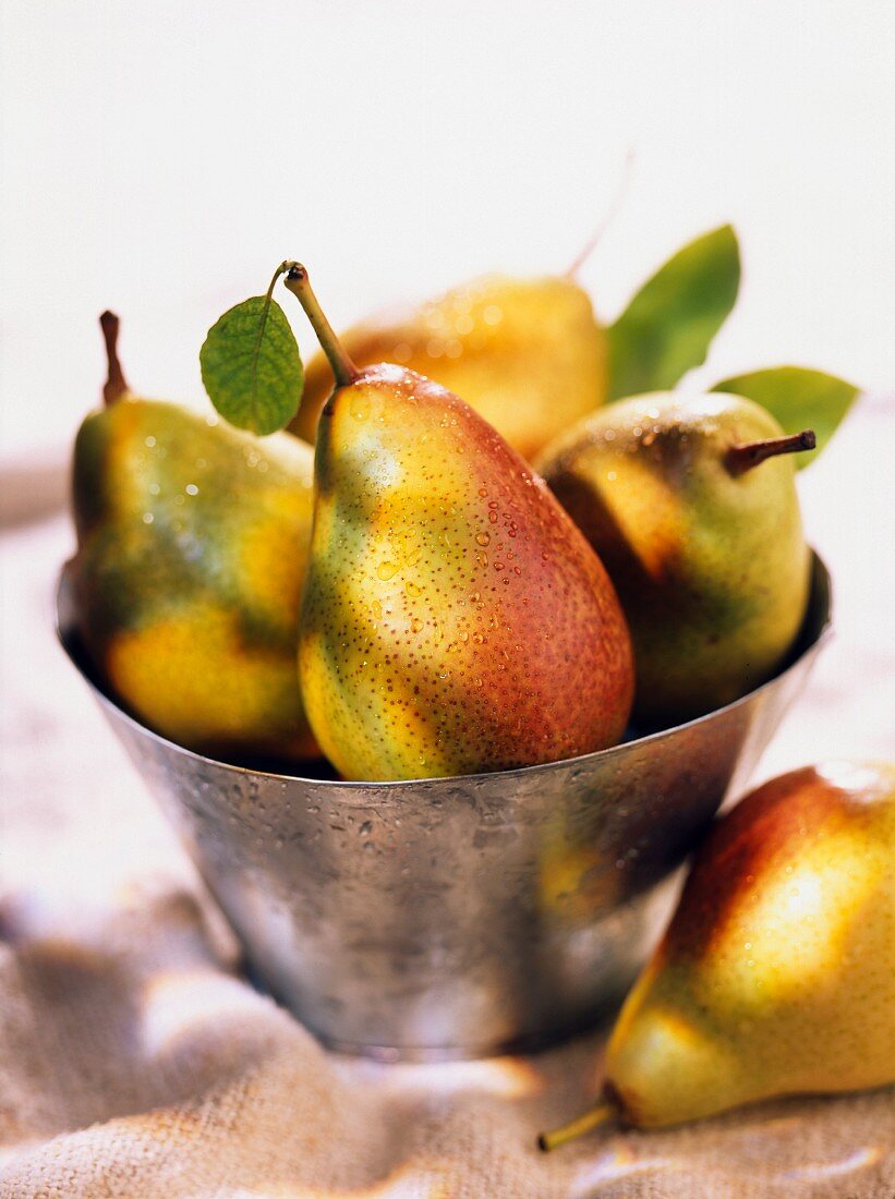 comice pears