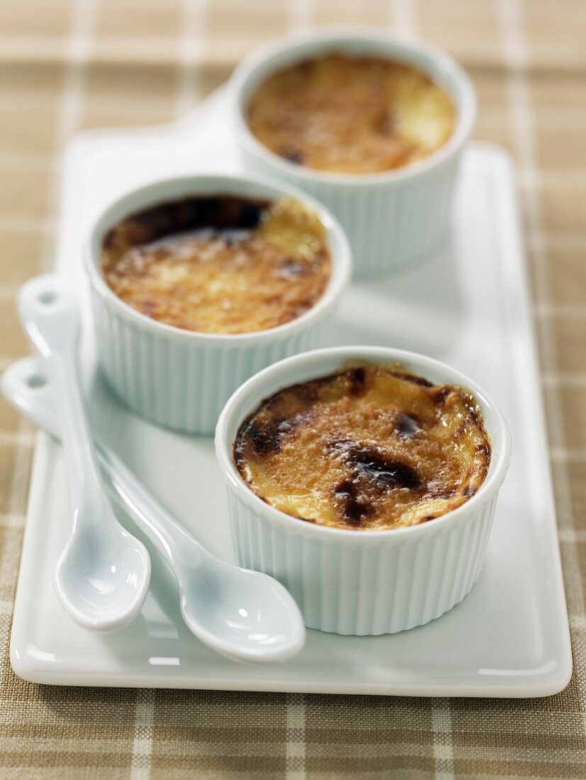 Crème brûlée in weissen Förmchen