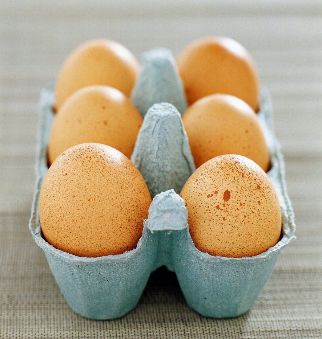Sechs Hühnereier im Eierkarton