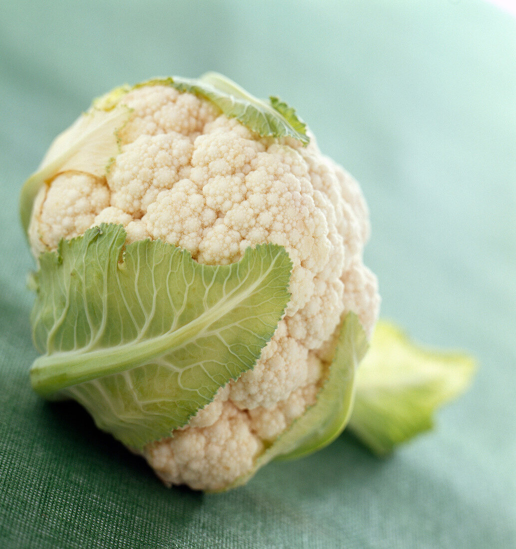 Cauliflower (topic : light diners)