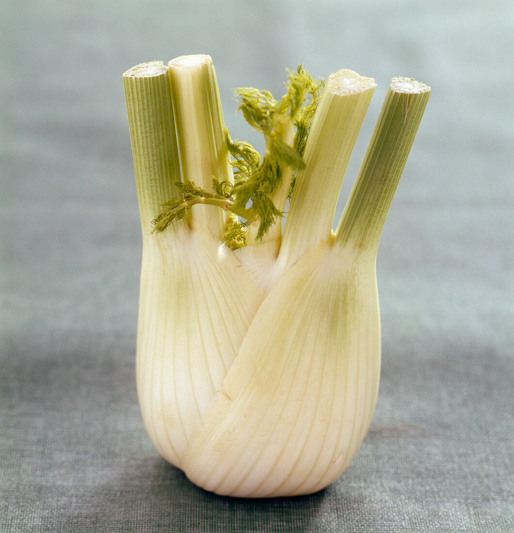 Fennel bulb (topic :light diners)