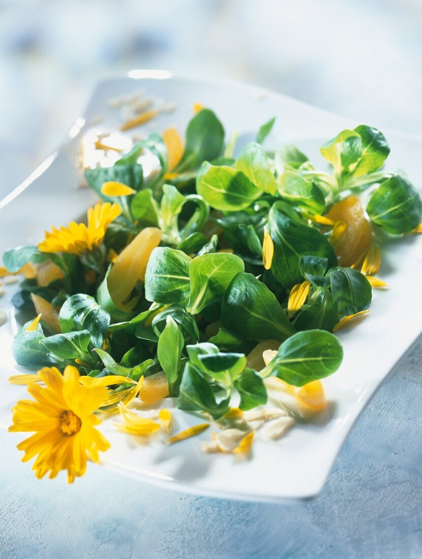 Feldsalat mit Aprikosen