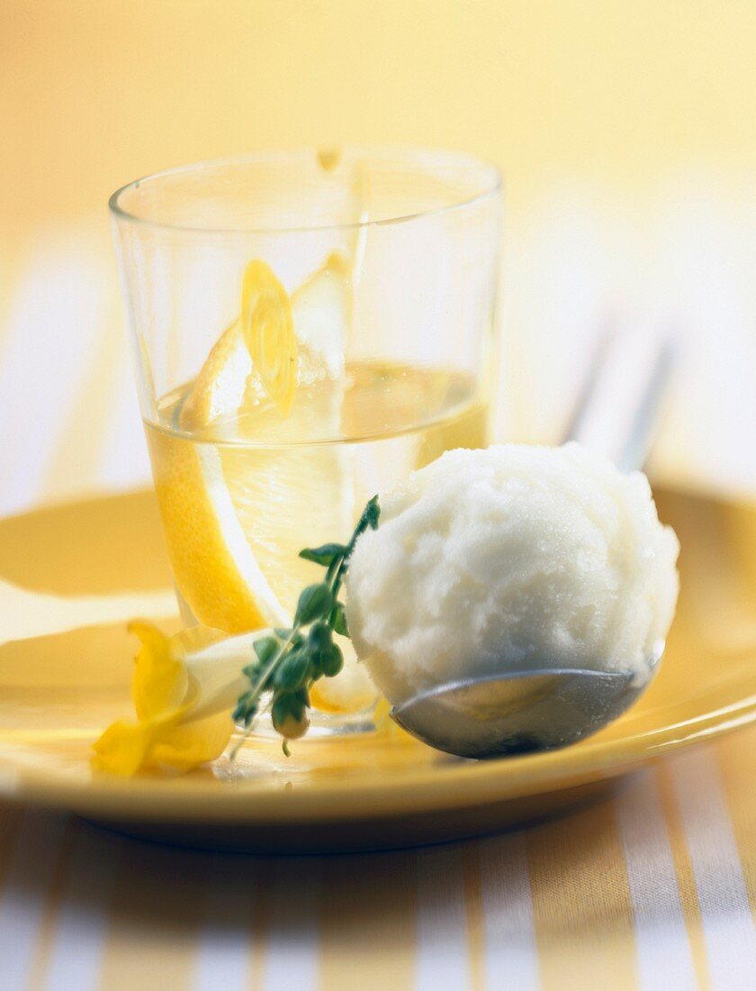 Zitronensorbet mit Limoncello