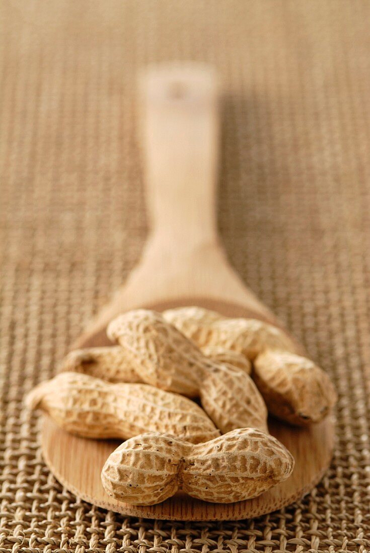 Wooden spoonful of peanuts