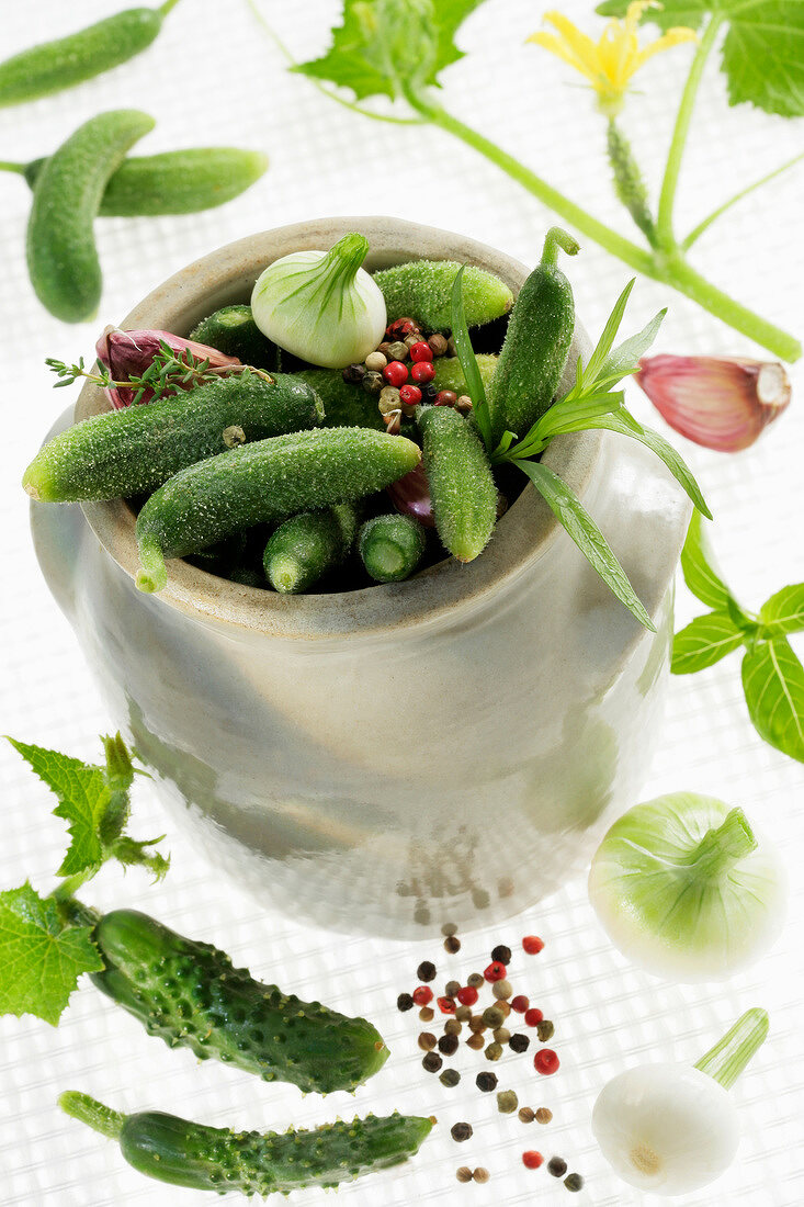 Jar of gherkins with herbs
