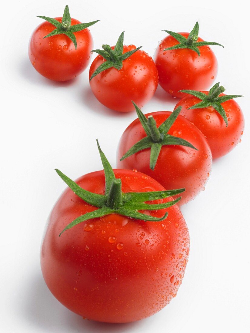 Frische Tomaten