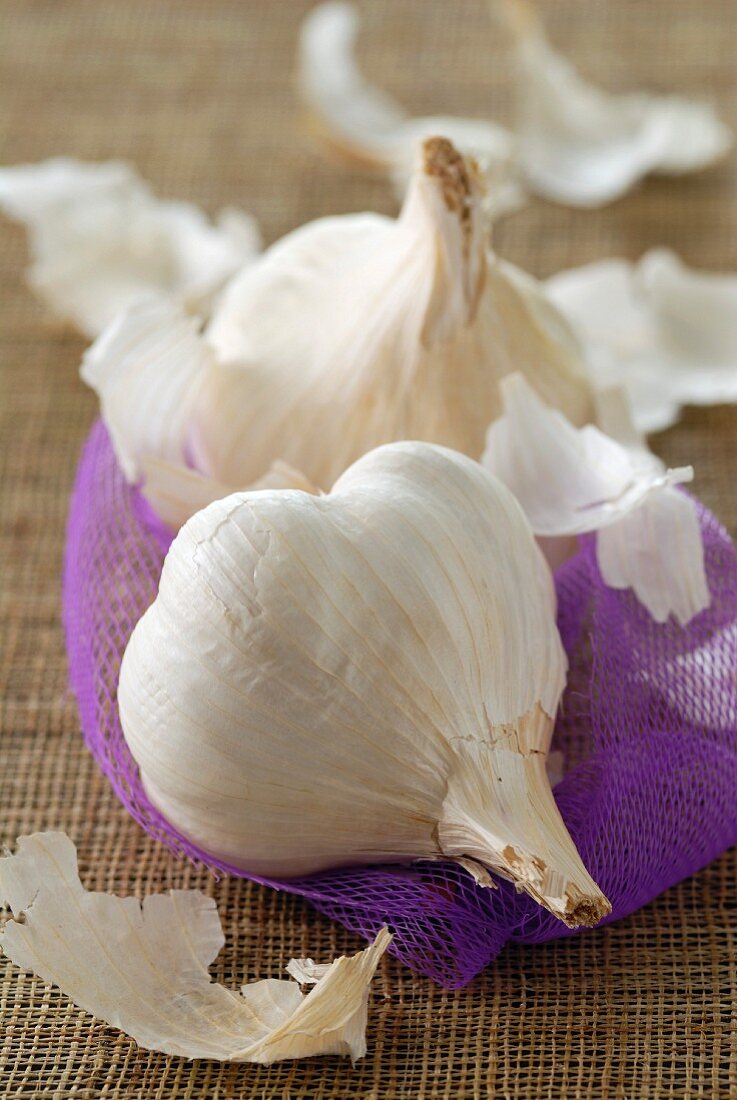 Garlic head