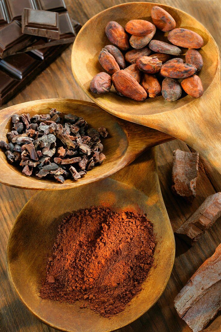 Verschiedene Kakaoprodukte (Kakaobruch, Kakaopulver, Kakaobohne) auf Holzlöffel