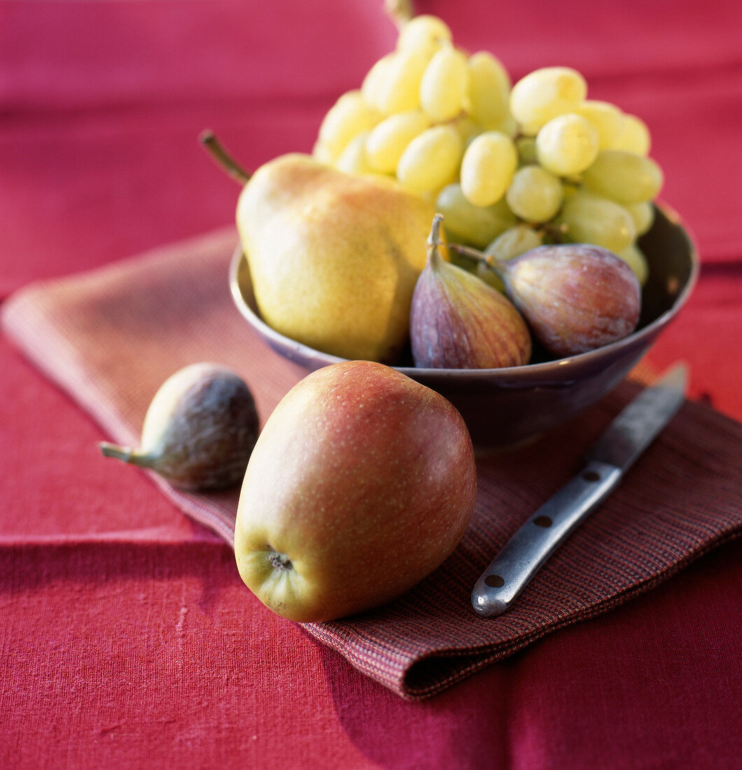 Composition with autumn fruit