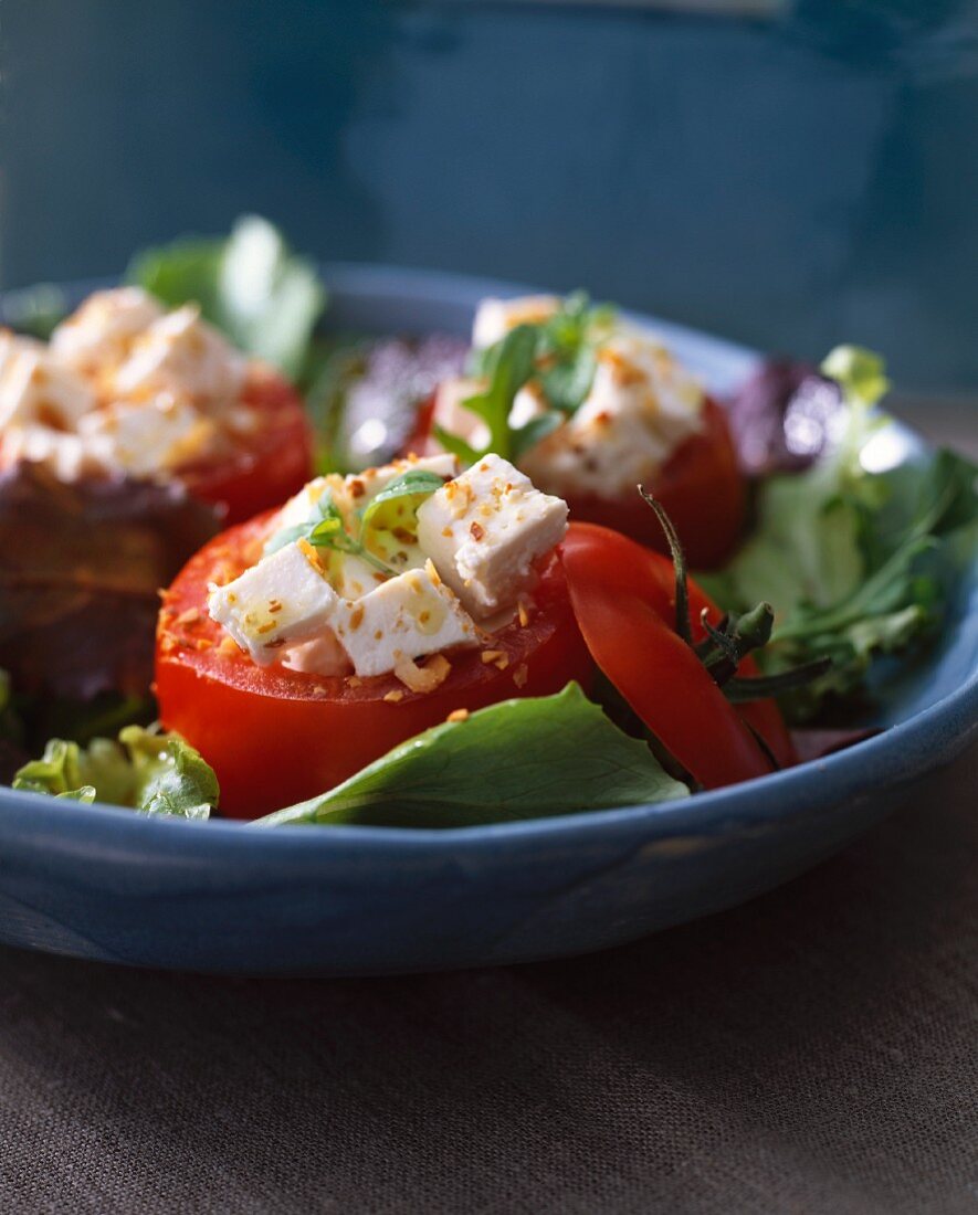 Gefüllte Tomaten mit korsischem Brocciu-Käse auf Salat