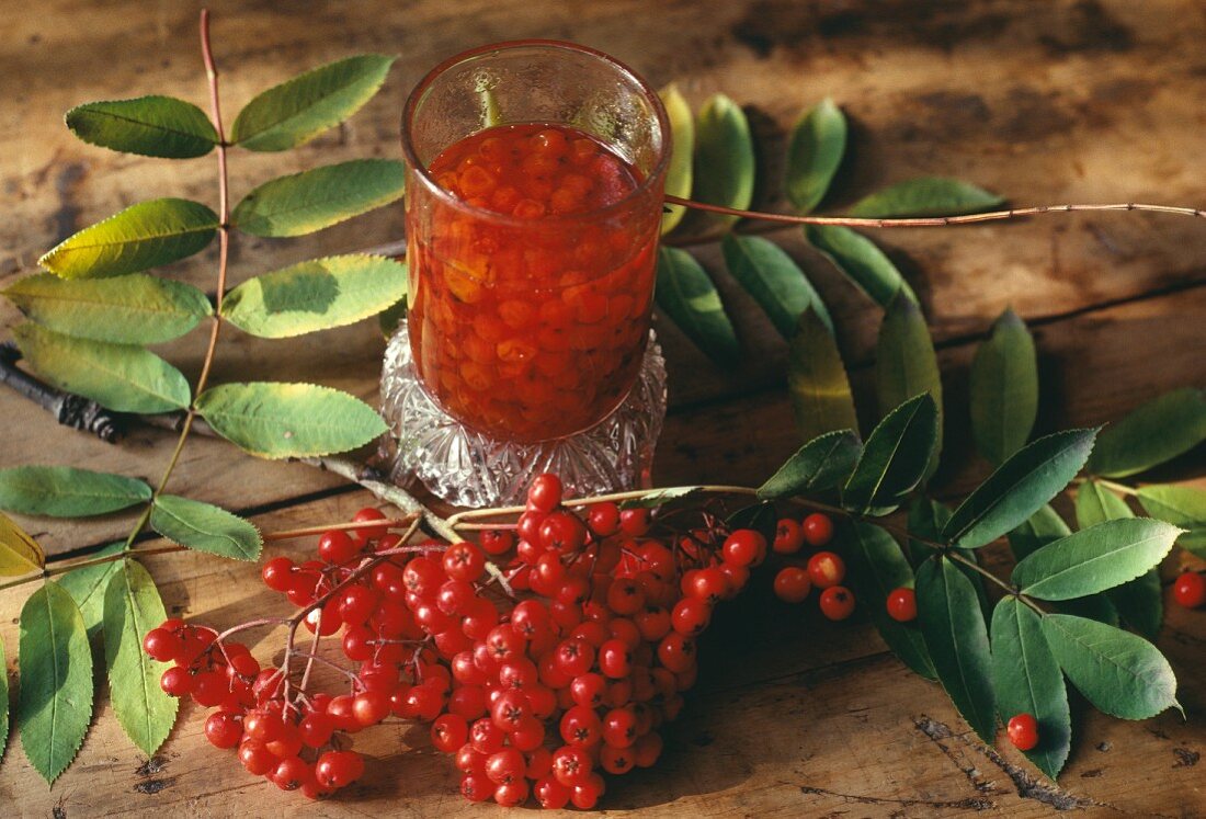 Frische Vogelbeeren und Konfitüre im Glas