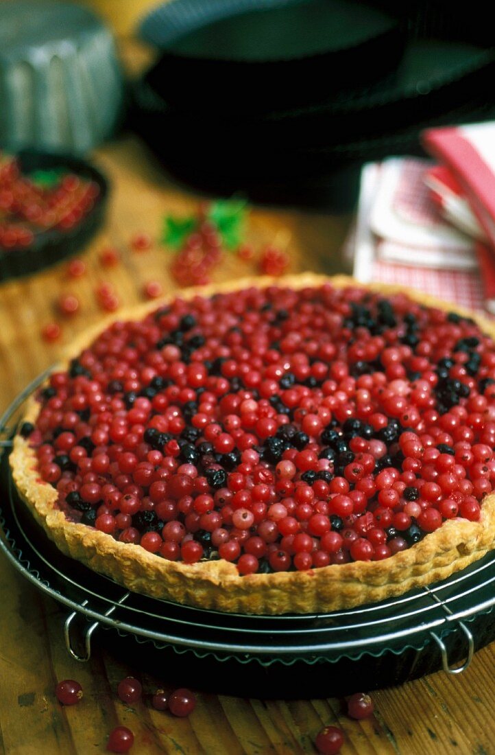 Alsatian berry tart with red and blue berries
