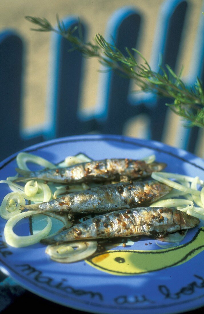 Gegrillte Sardinen provenzalische Art auf blauem Teller