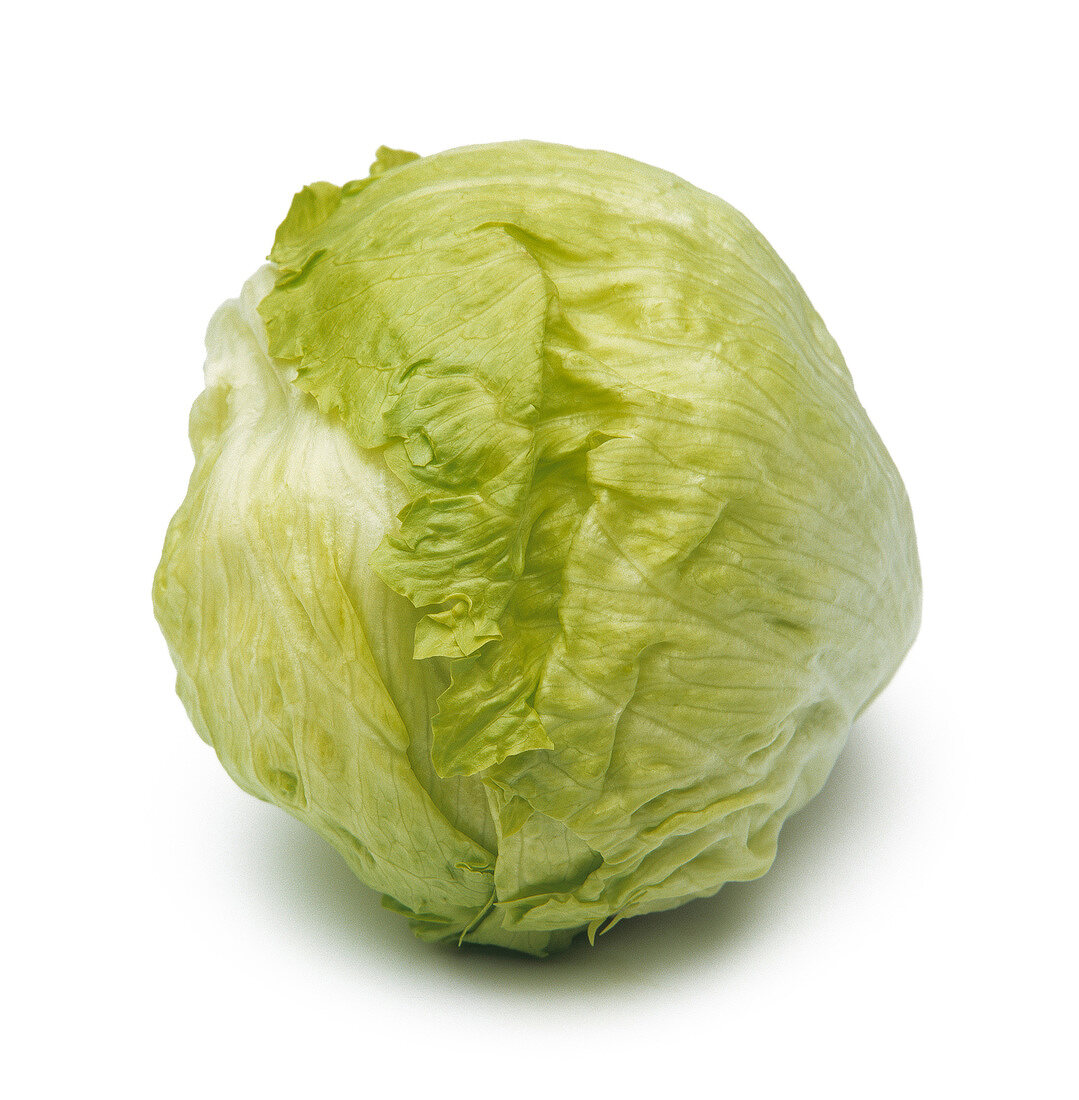 Cabbage