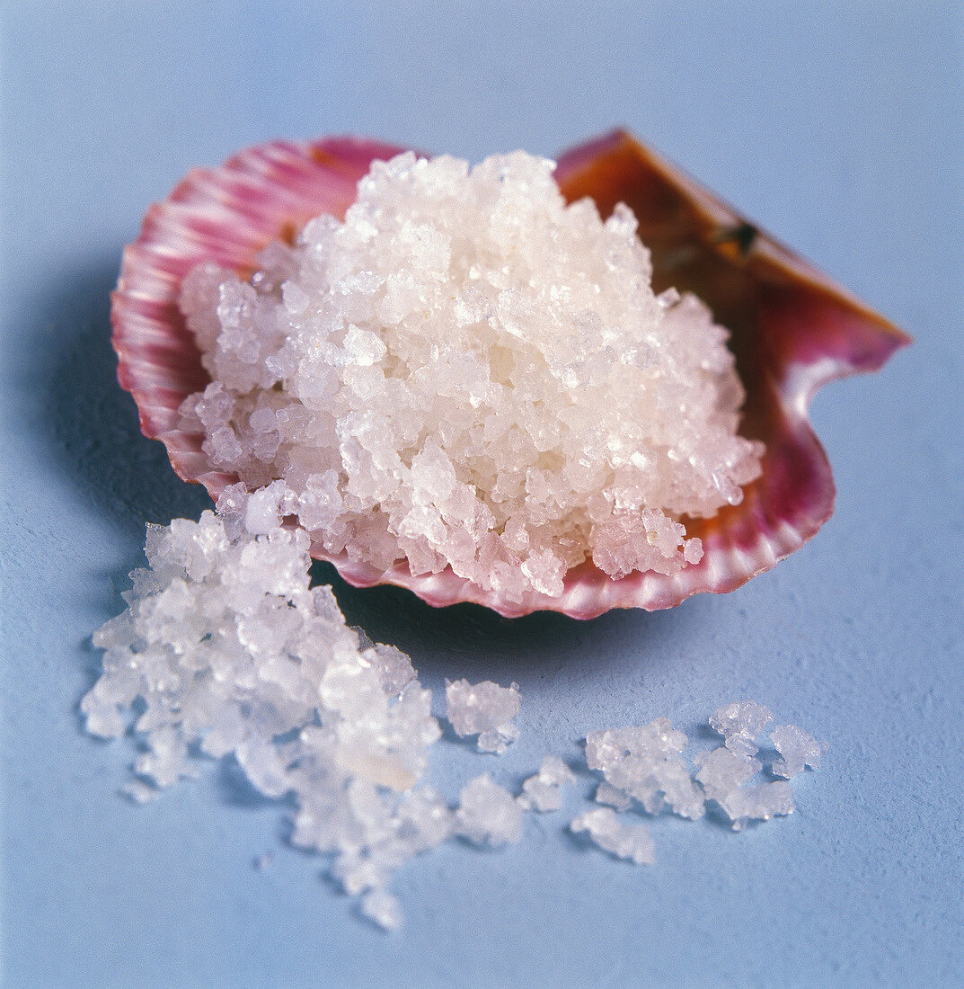 Sea salt in scallop shell