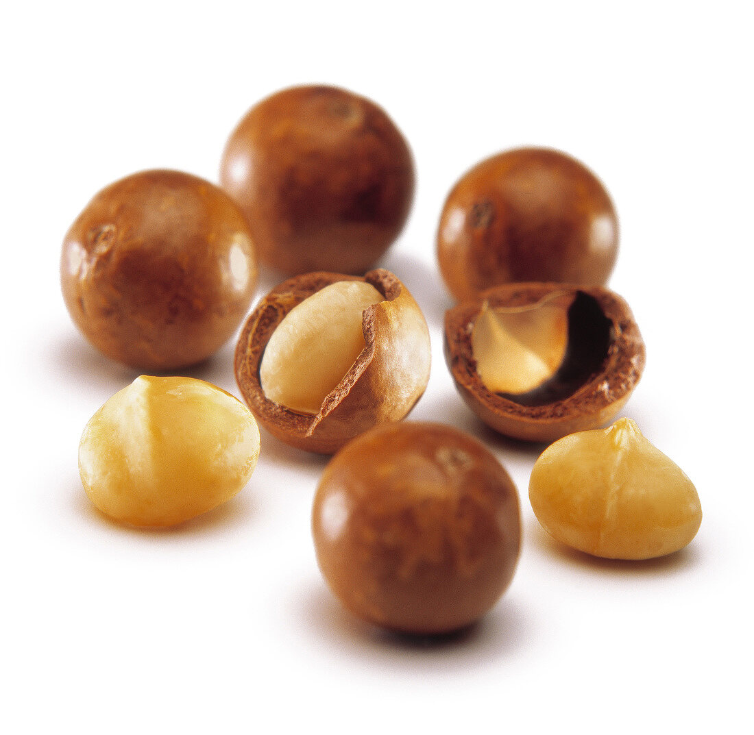 Macadamia nuts with shells