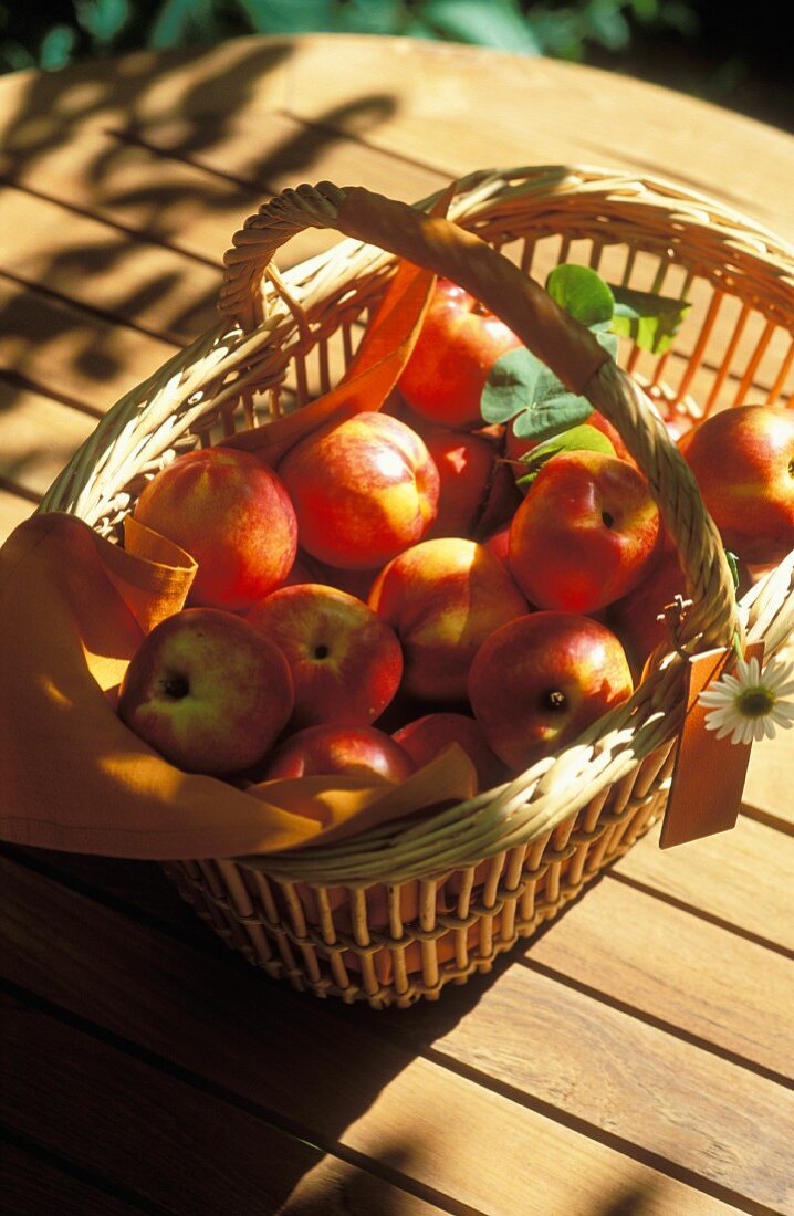 Nektarinen in Korb auf Gartentisch