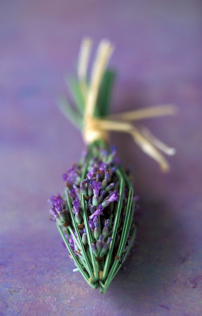 Arrow-shaped bunch of lavender
