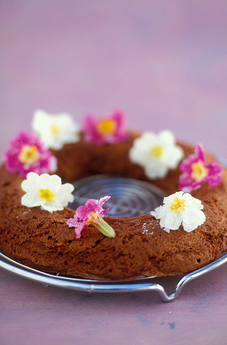 Schokoladenkuchen mit Primelgarnitur