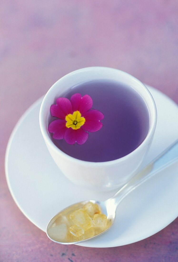 Primrose herb tea