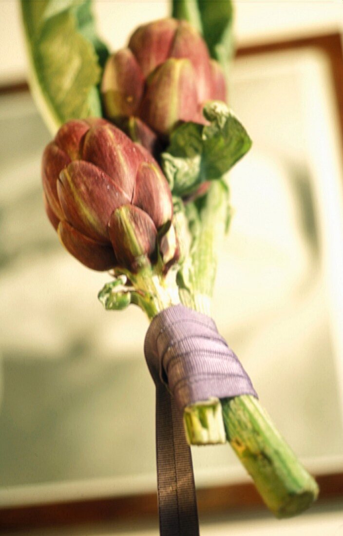 Poivrade artichokes with a pink ribbon