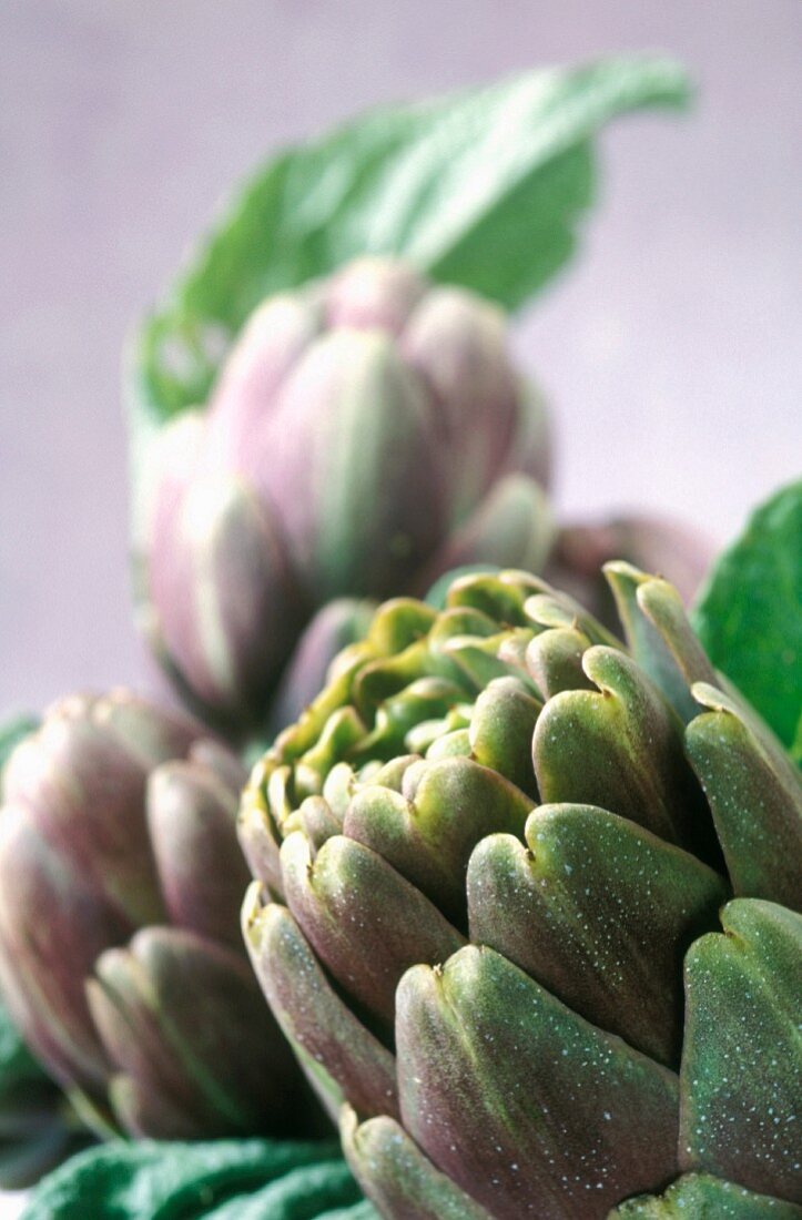 Poivrade artichokes (close-up)