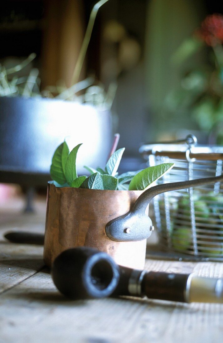 A copper pot with fresh sage and a tobacco pipe