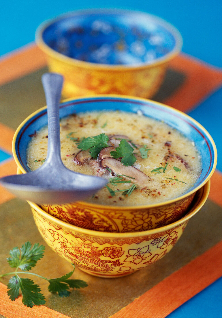 Suppe aus Shiitakepilzen, Koriander, Zitronengras und Kokosmilch