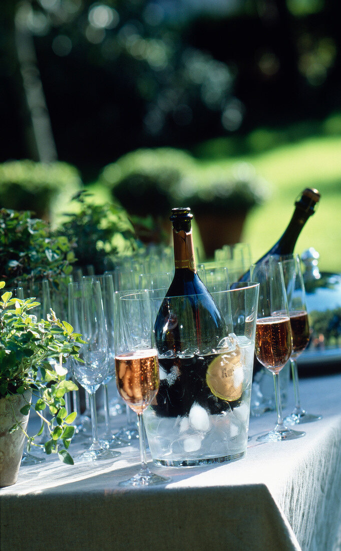 Rosé-Champagner im Eiskübel mit Champagnergläsern im Garten