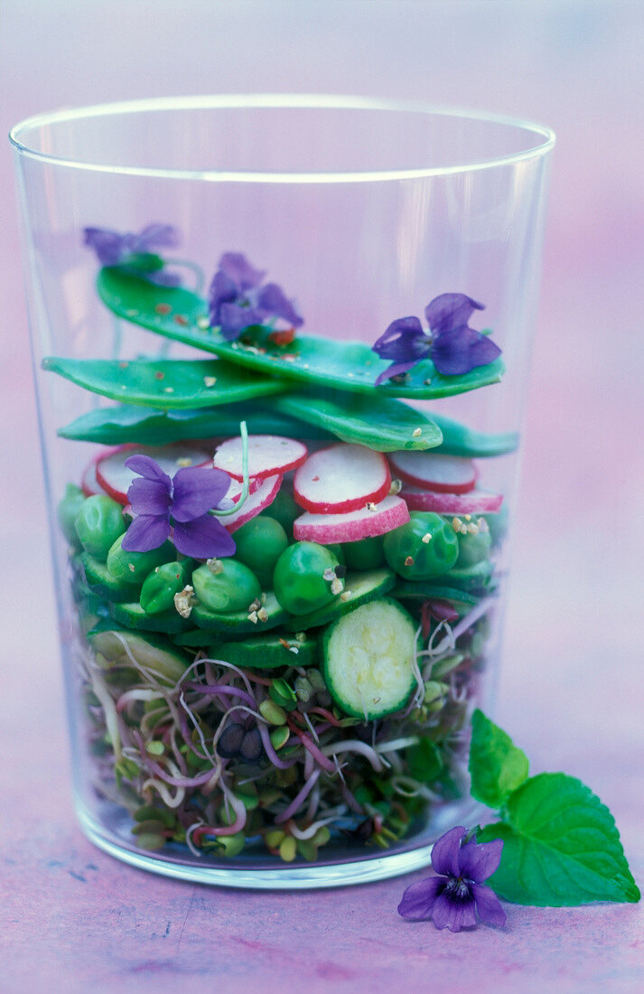 Salat mit Erbsen, Zuckerschoten, Zucchini, Sprossen und Radieschen im Glas