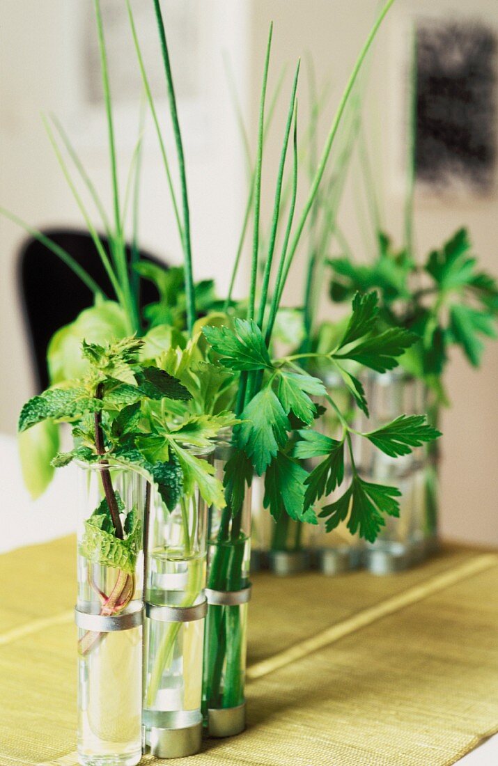 An arrangement of herbs