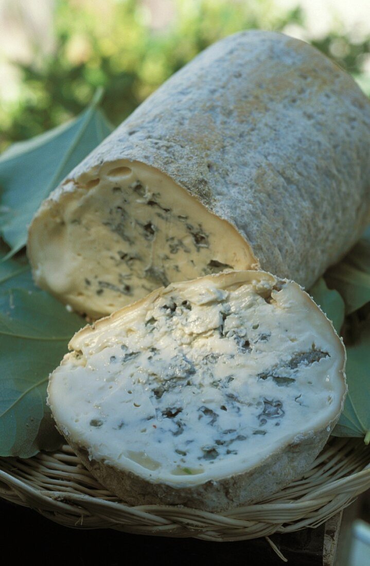 Blauschimmelkäse