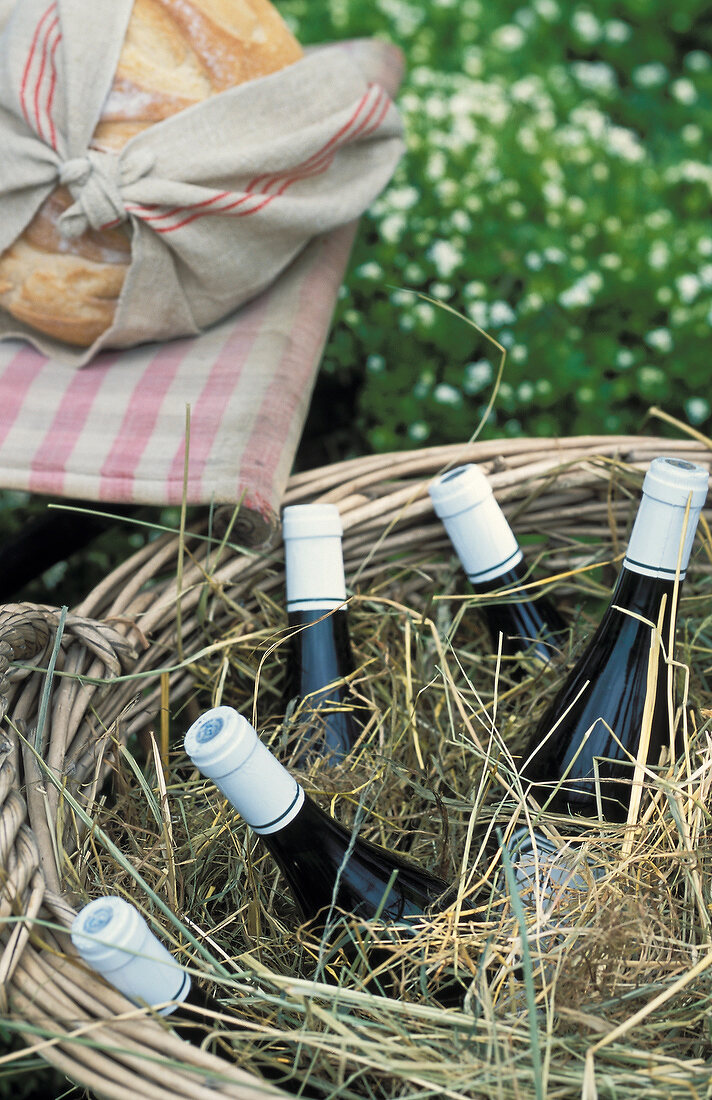 Bottles of wine in hay