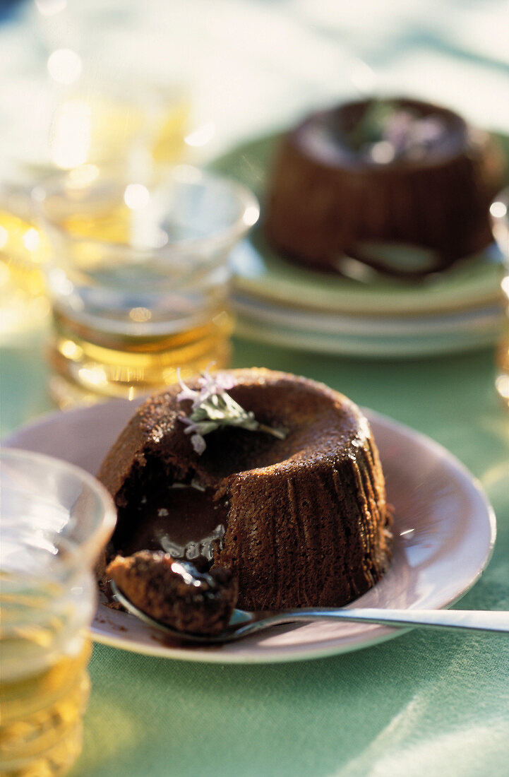 Chocolate sponge dessert