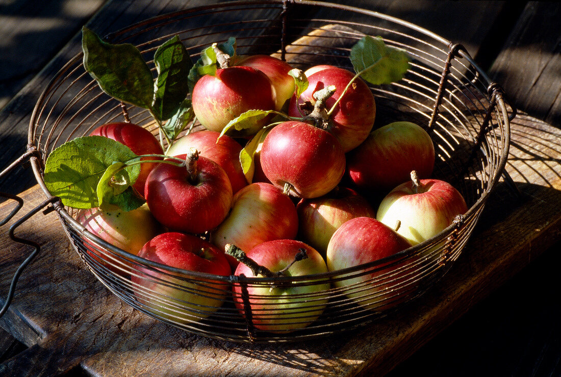 metal basket of apples