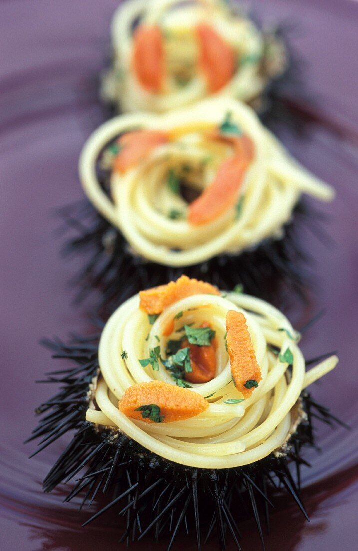 Spaghetti with sea urchins
