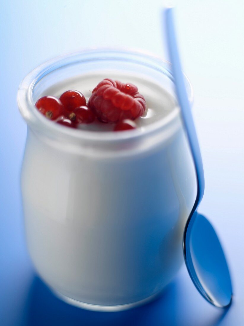 Gläschen Jogurt mit Beeren