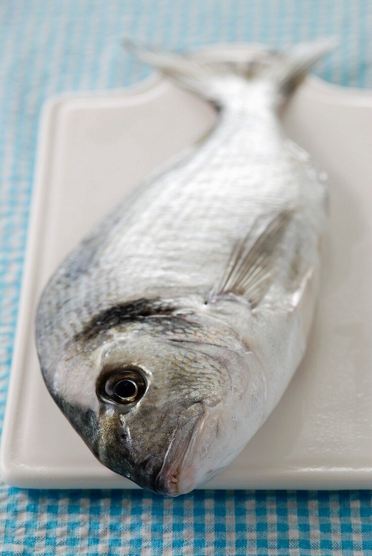 Raw sea bream