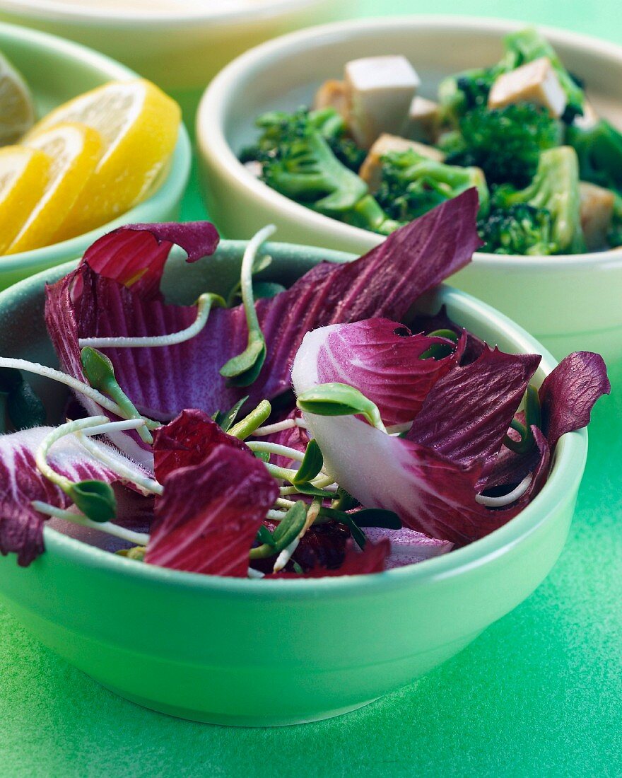 Drei Schälchen mit Salat, Gemüse und Zitronenscheiben