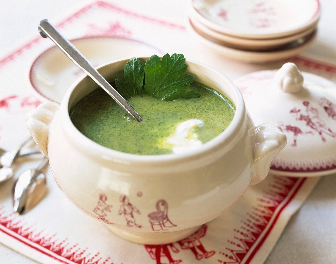 Cream of spinach soup in a soup tureen