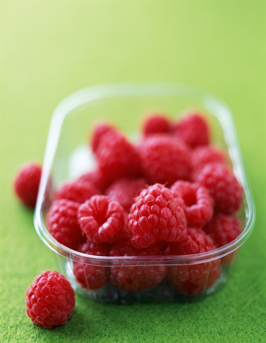 Frische Himbeeren in Plastikschale