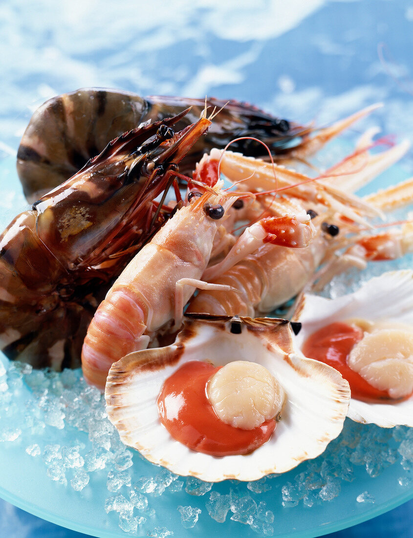 Raw gambas,langoustines and scallops