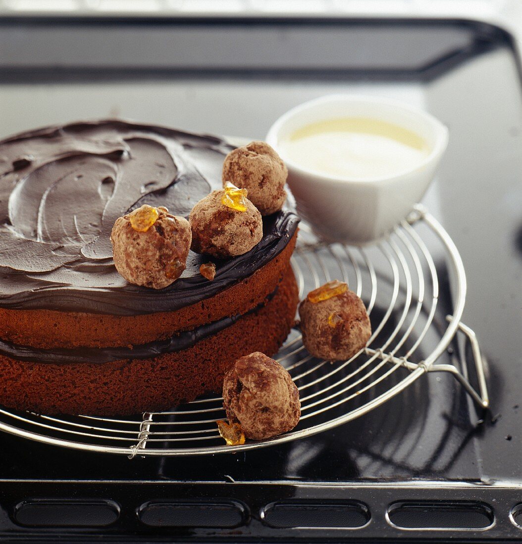 Weiche Schokoladen-Lebkuchen-Torte